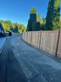 Hardscape Installation